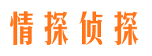 宁化调查公司